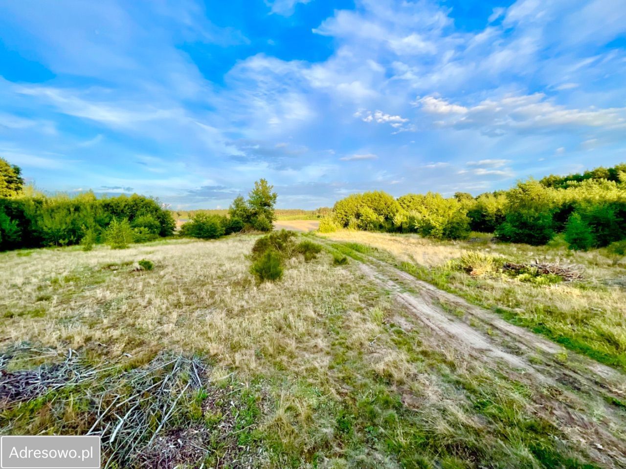 Działka budowlana Chwalęcice. Zdjęcie 9