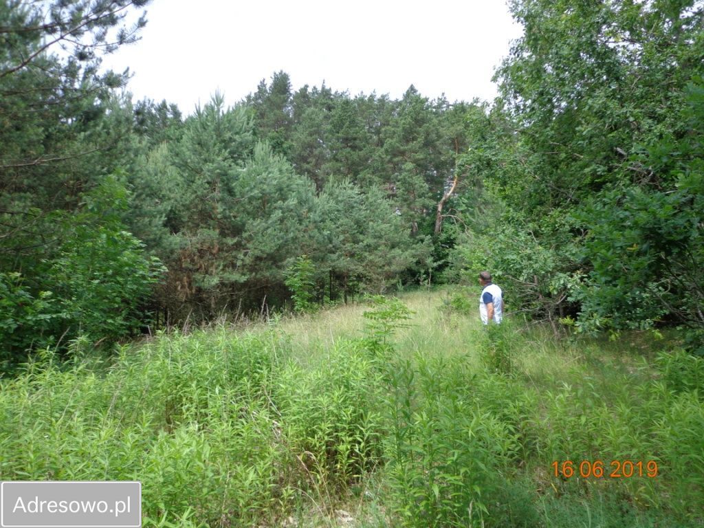 Działka rekreacyjna Cierzpięty. Zdjęcie 11