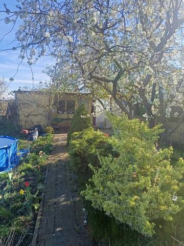 Działka rod Psarskie, ul. Sikorskiego. Zdjęcie 1