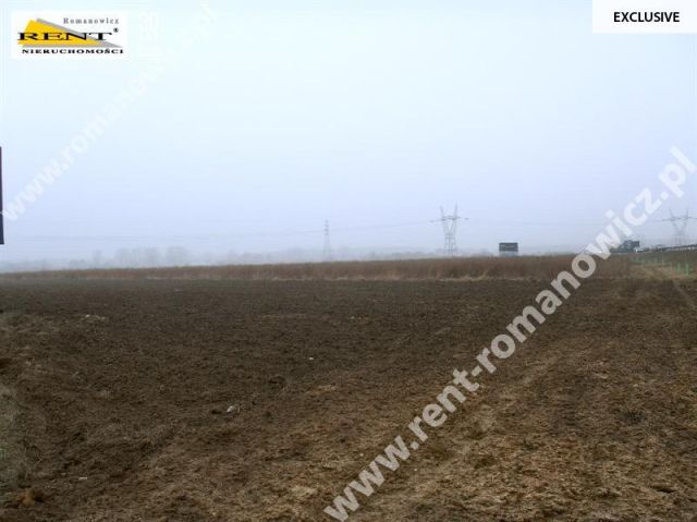 Działka rolna Reptowo. Zdjęcie 4