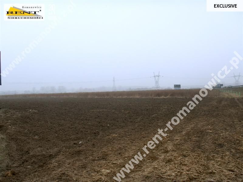 Działka rolna Reptowo. Zdjęcie 4
