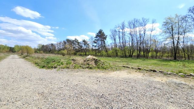 Działka budowlana Żółwin. Zdjęcie 3