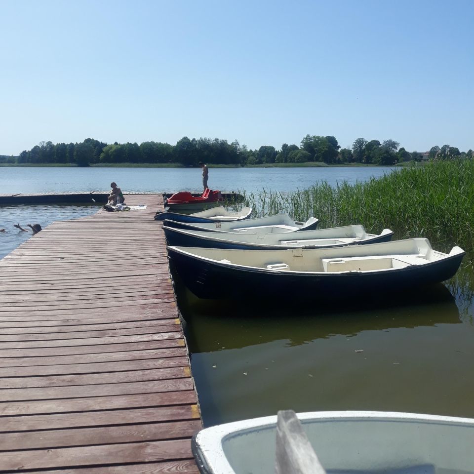 Działka rolna Nowy Dwór. Zdjęcie 8