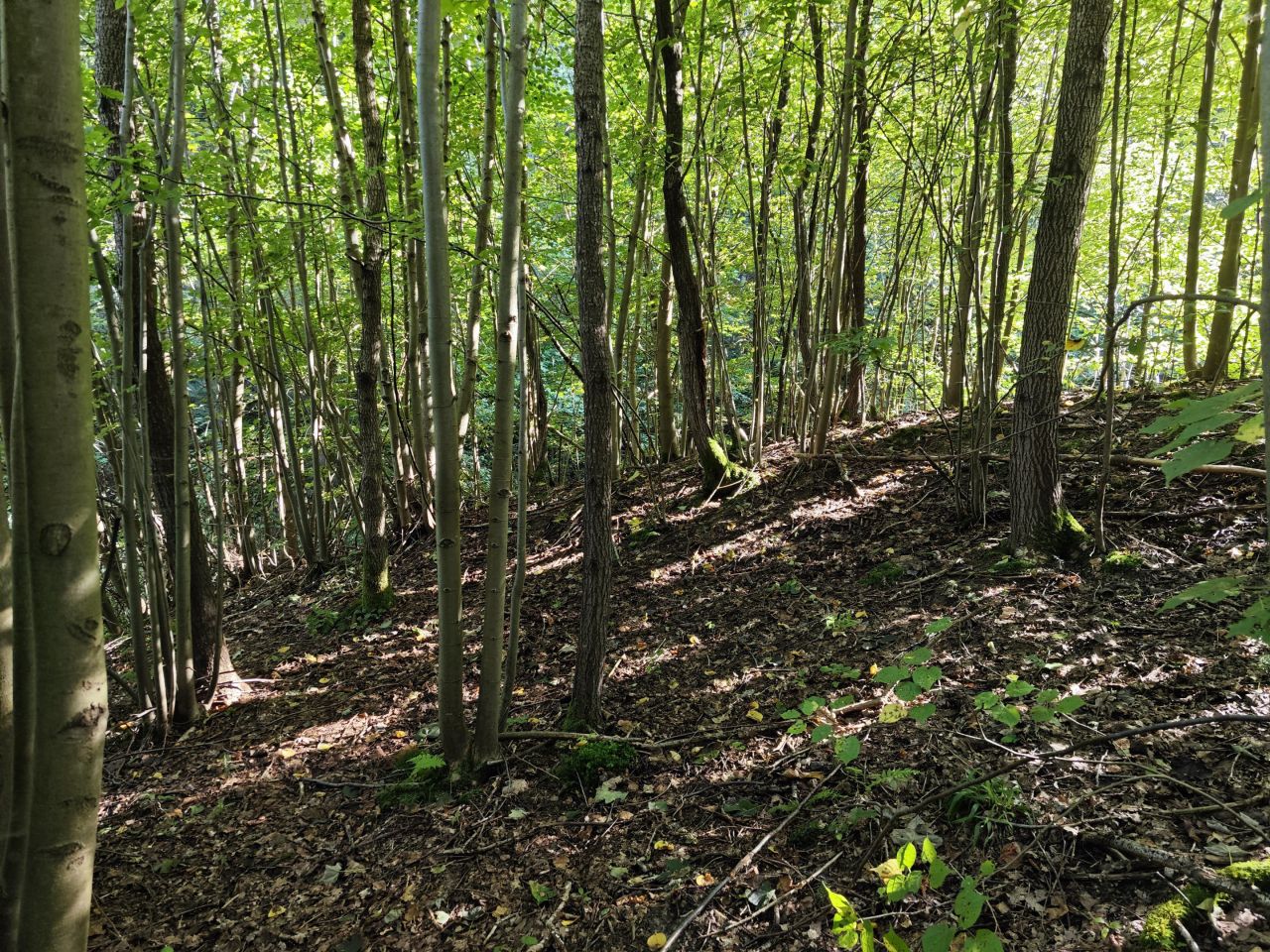 Działka rolno-budowlana Święcany. Zdjęcie 24