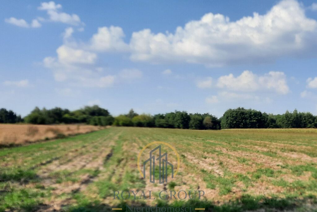 Działka rolna Rudno. Zdjęcie 2