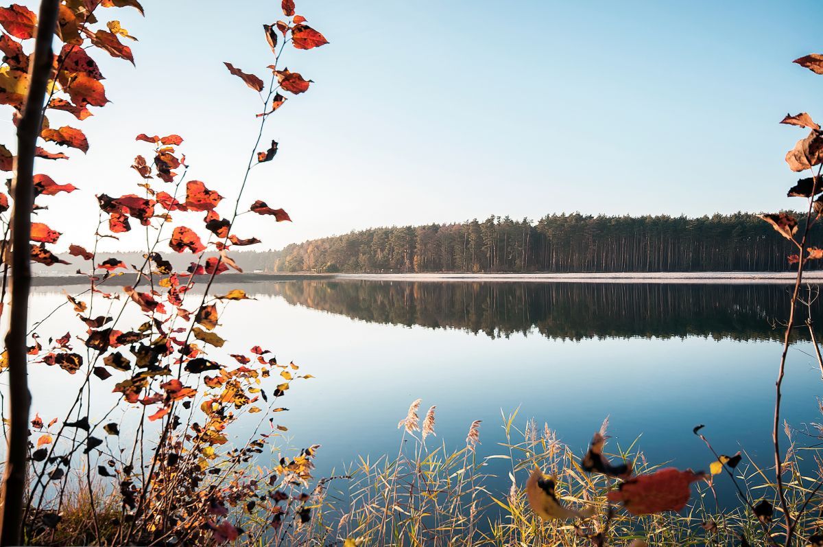bliźniak, 3 pokoje Brzezinki, ul. Parkowa. Zdjęcie 8