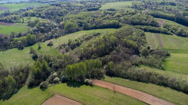 Działka rolna Laskówka. Zdjęcie 24