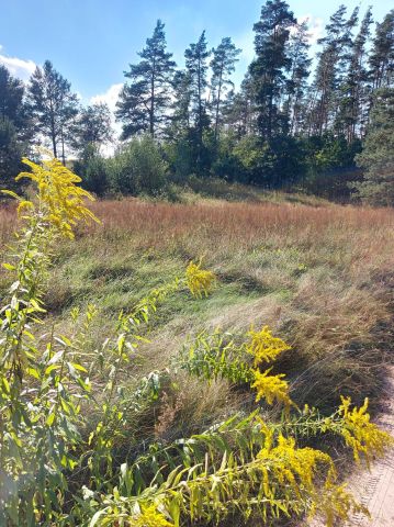 Działka siedliskowa Chraboły. Zdjęcie 8