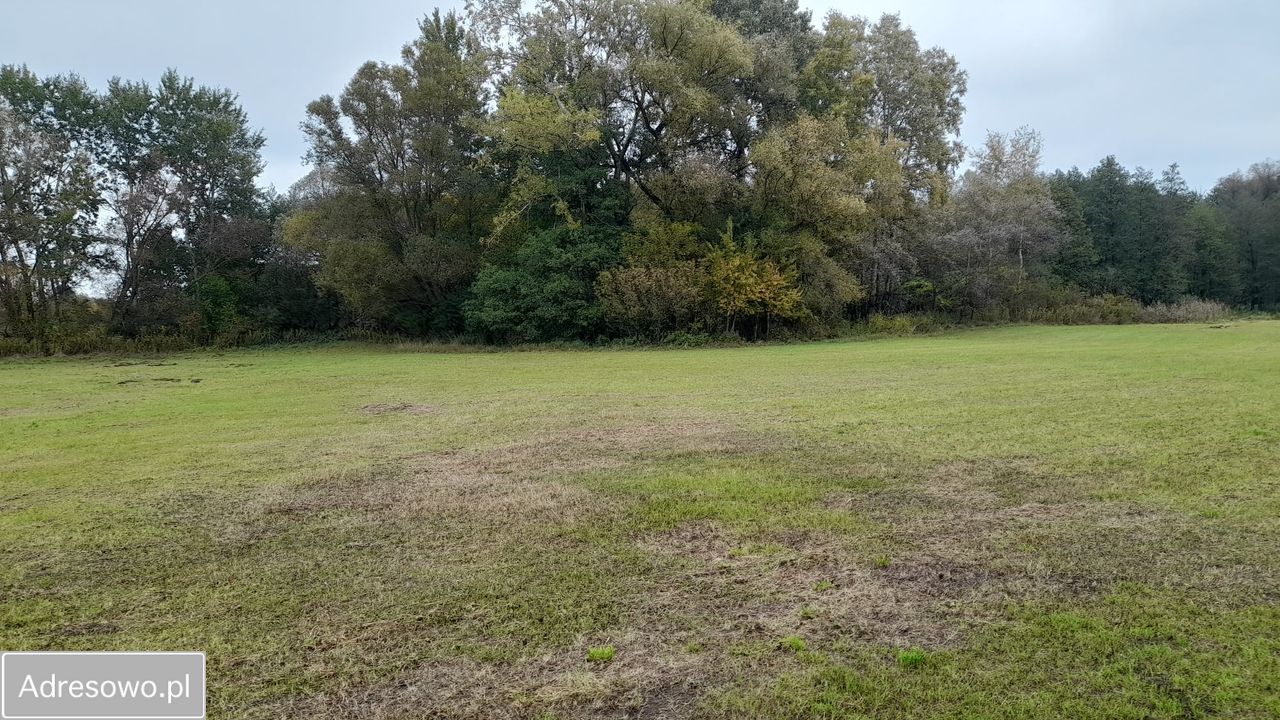 Działka rolna Nowy Secymin. Zdjęcie 2