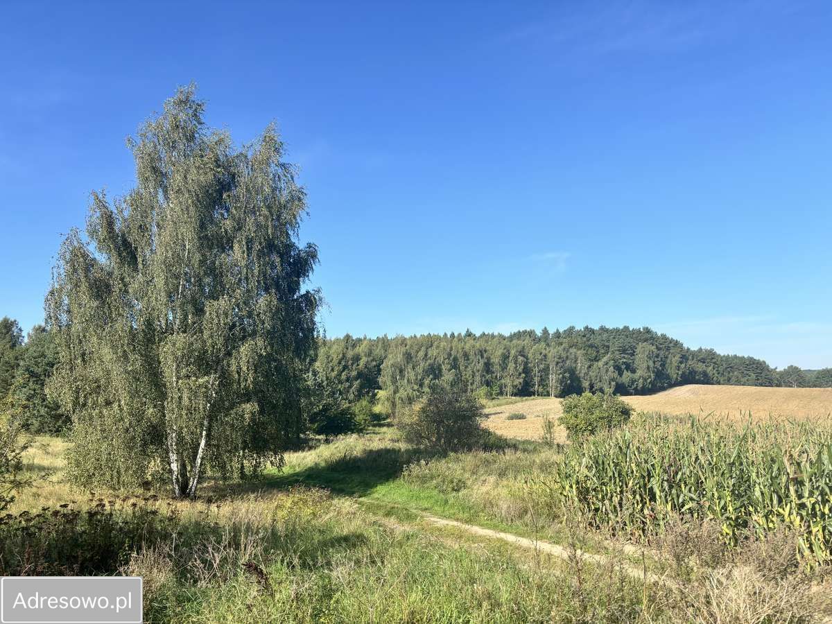 Działka budowlana Śliwiny. Zdjęcie 2