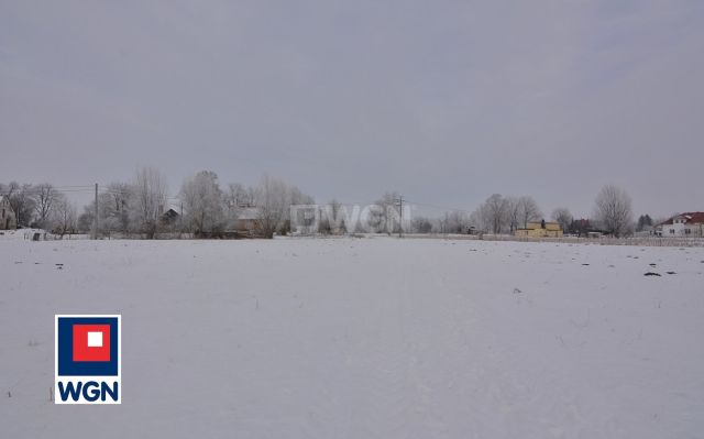 Działka rolna Markusy. Zdjęcie 7