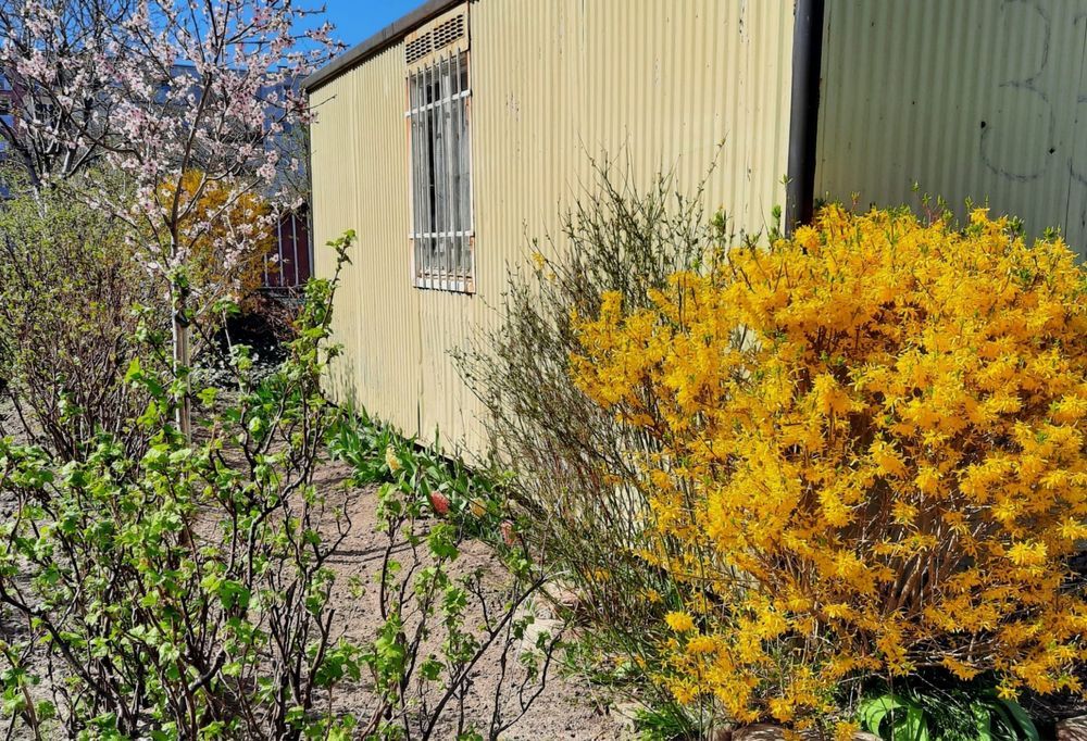 Działka rod Lębork. Zdjęcie 6