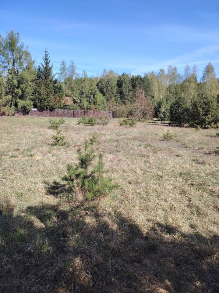 Działka siedliskowa Brok, ul. Dobra. Zdjęcie 3