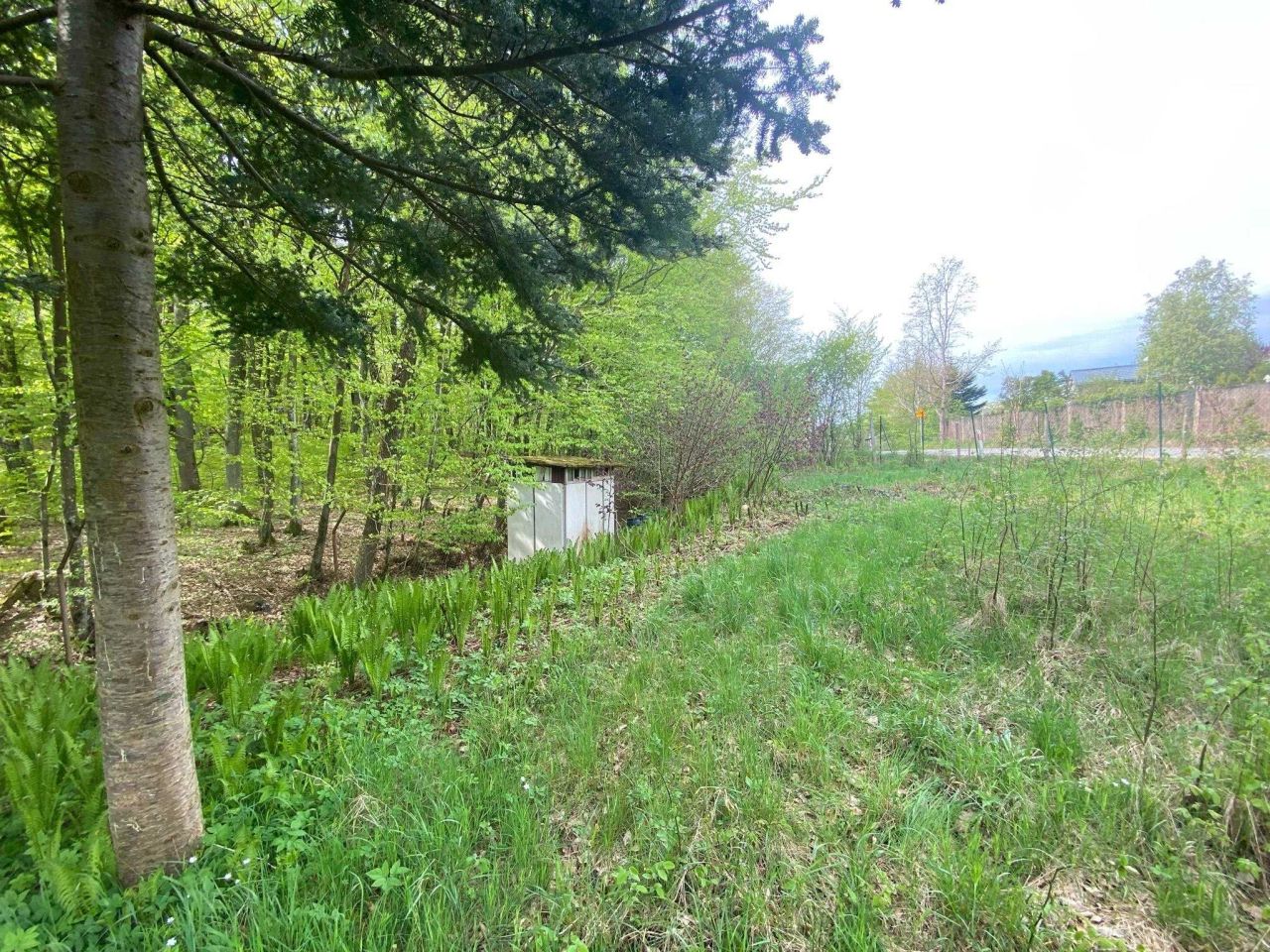 Działka rod Warzenko, ul. Działkowa. Zdjęcie 2