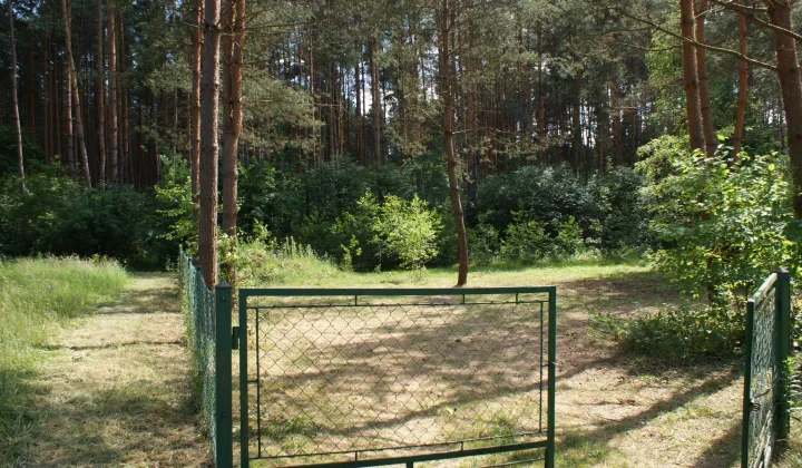 Działka rekreacyjna Czerwona Wola Myszkówka