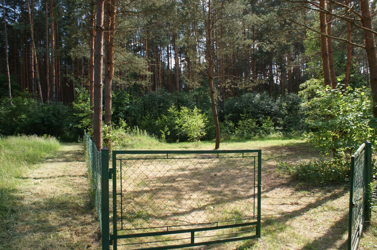 Działka rekreacyjna Czerwona Wola Myszkówka