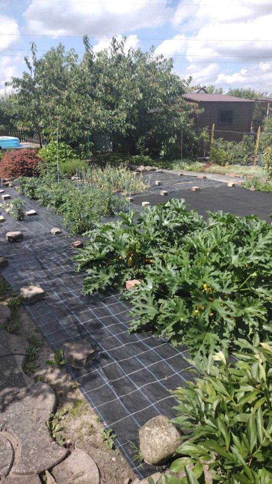 Działka rod Gniezno, ul. Kłeckoska. Zdjęcie 2