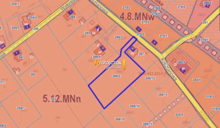 Działka inwestycyjna Drewnica, ul. Kasztanowa