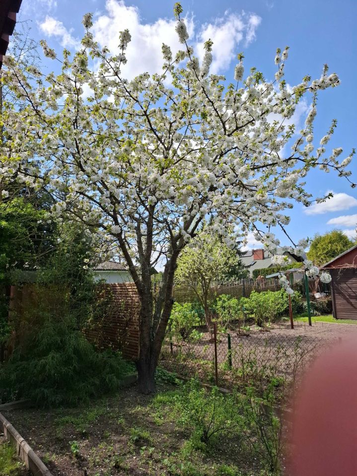 Działka rod Biała Podlaska. Zdjęcie 5