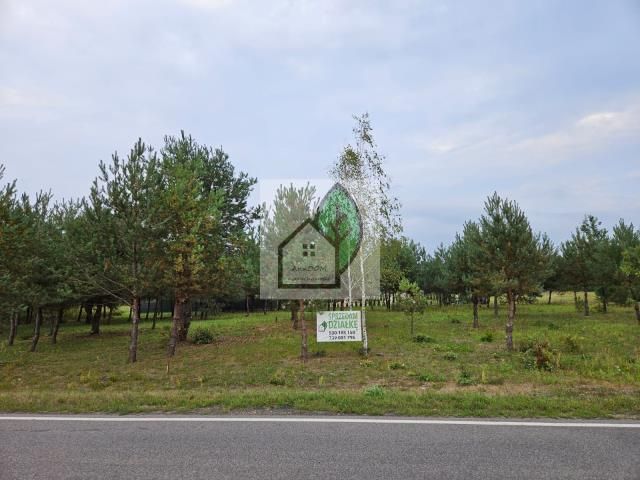 Działka budowlana Uwieliny. Zdjęcie 1