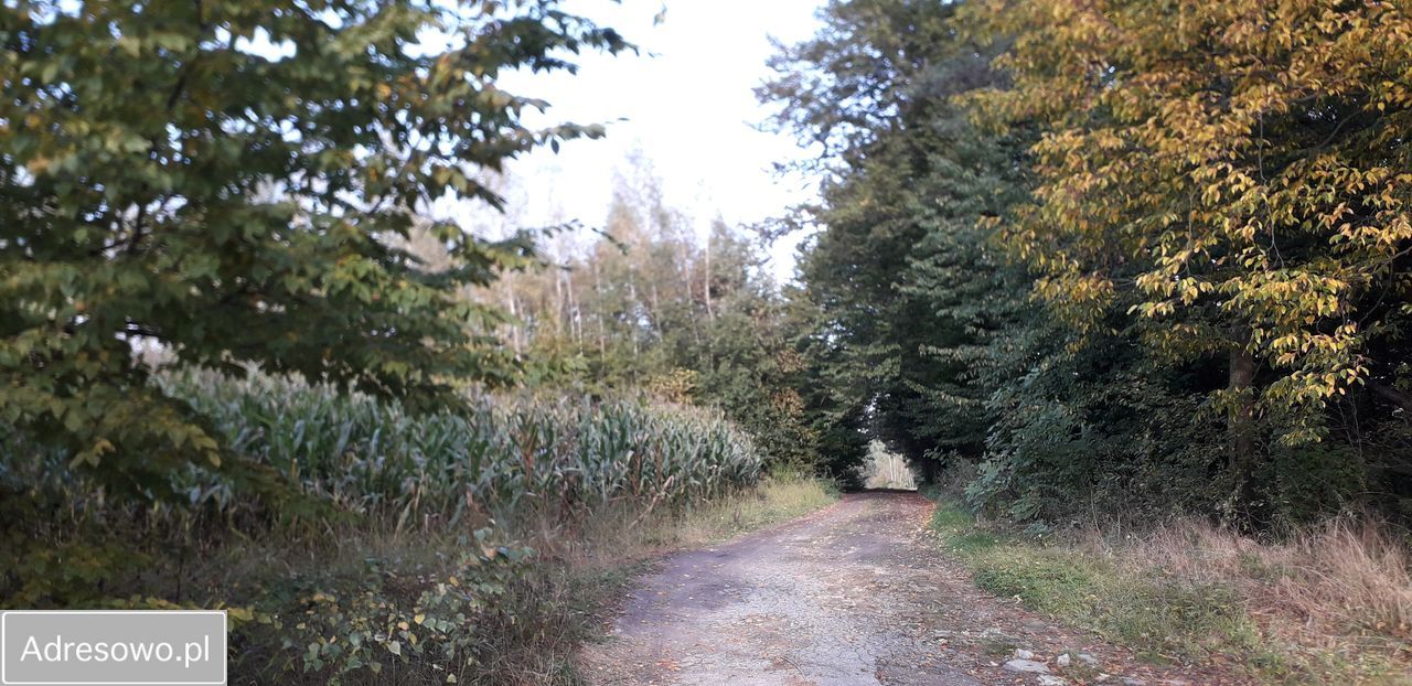 Działka budowlana Swoboda. Zdjęcie 8