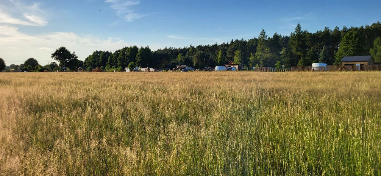 Działka rolno-budowlana Wilków. Zdjęcie 5