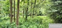 Działka rekreacyjna Zagórze Śląskie. Zdjęcie 3