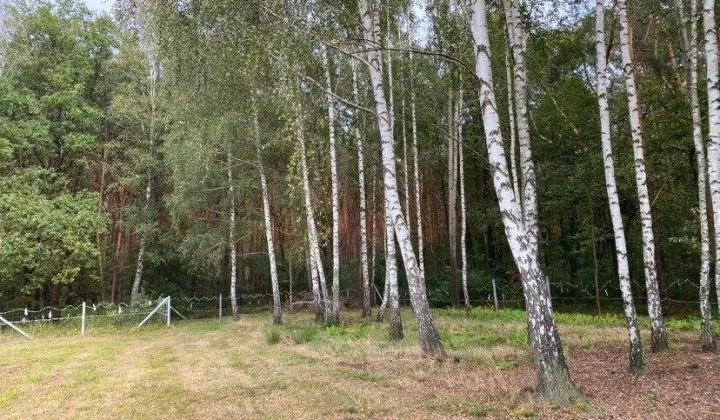 Działka budowlana Samogoszcz