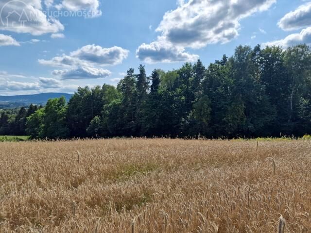 Działka rolno-budowlana Błażkowa. Zdjęcie 5