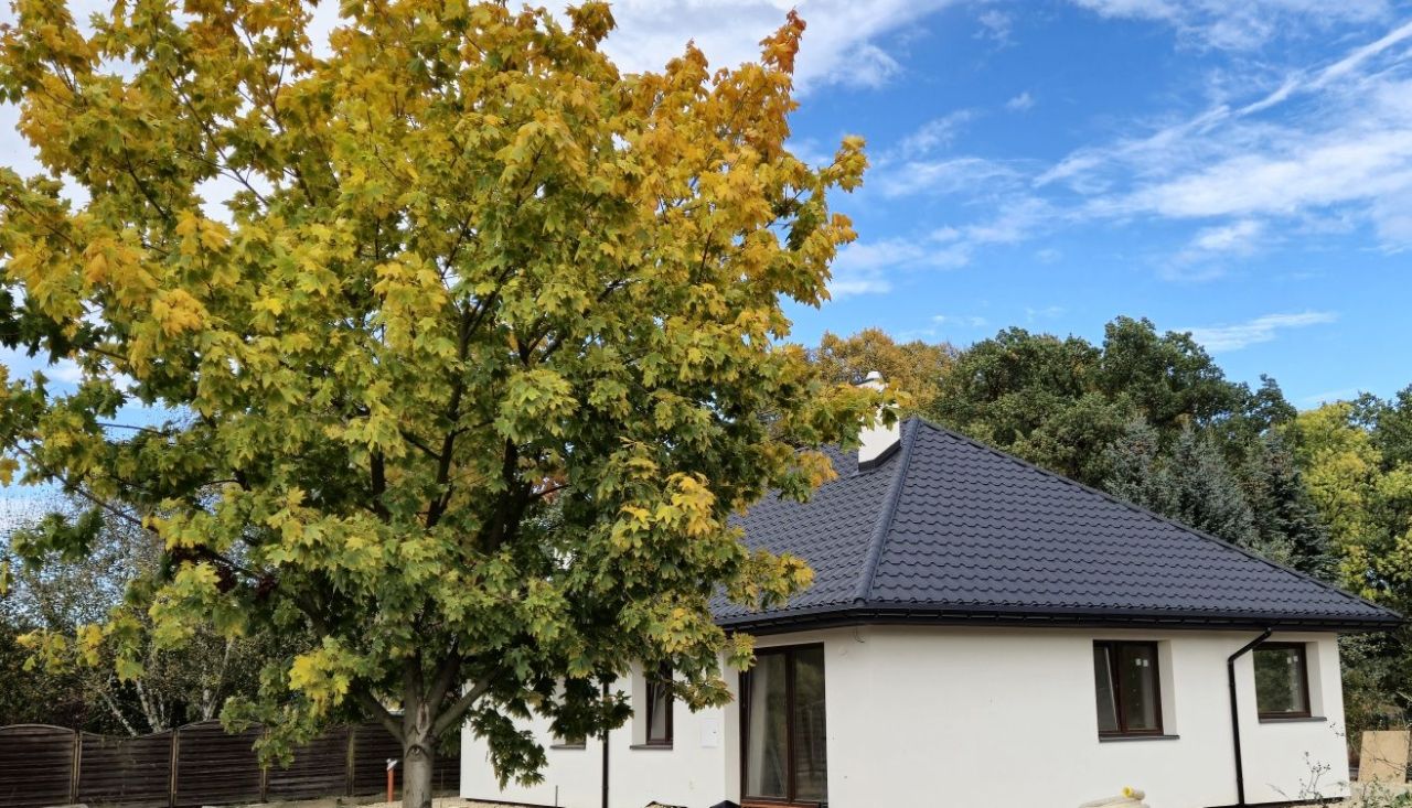 dom wolnostojący, 5 pokoi Zrębice Zrębice Pierwsze, ul. Główna. Zdjęcie 2