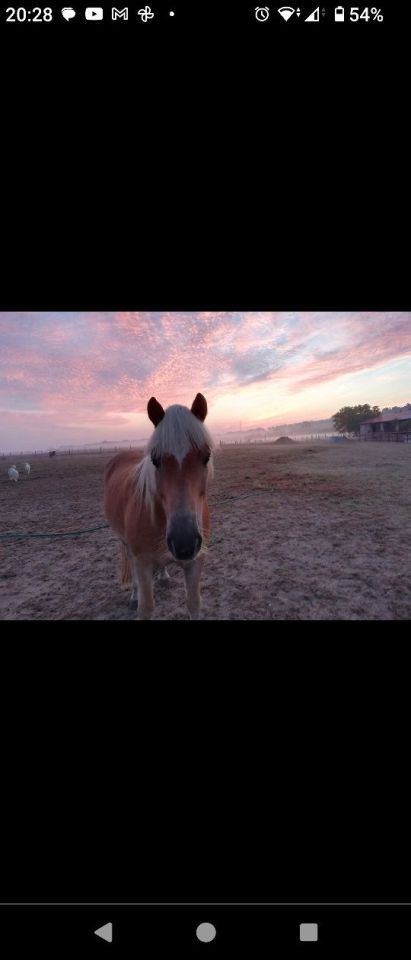 Działka rolna Jarnatów. Zdjęcie 13
