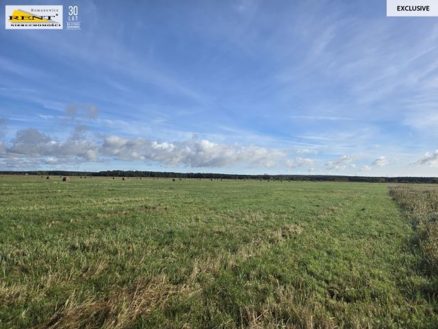 Działka rolna Dobra, ul. Dereszowa. Zdjęcie 4