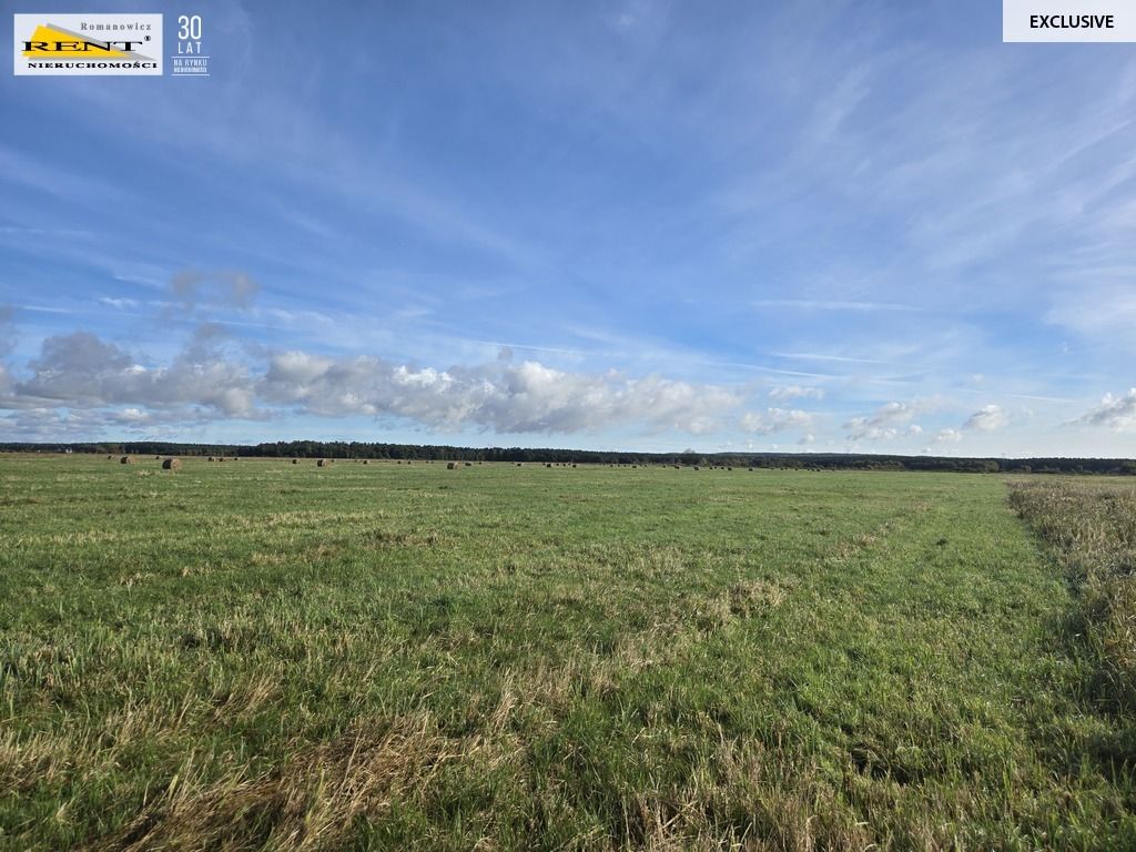 Działka rolna Dobra, ul. Dereszowa. Zdjęcie 4