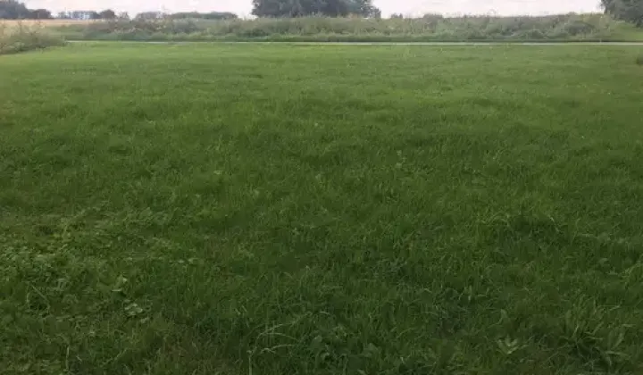 Działka budowlana Milejów, Topolowa