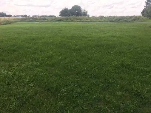 Działka budowlana Milejów, Topolowa. Zdjęcie 1