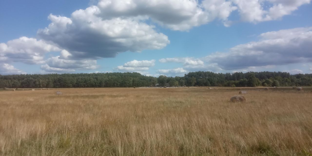 Działka rolna Kałek. Zdjęcie 3