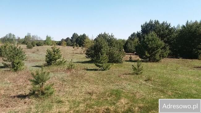 Działka siedliskowa Lubaty. Zdjęcie 7