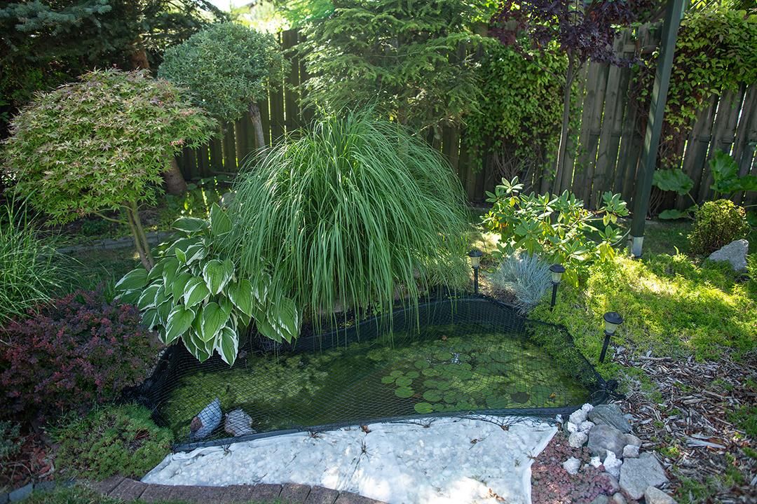 Działka rod Bydgoszcz Czyżkówko, ul. Siedlecka. Zdjęcie 21