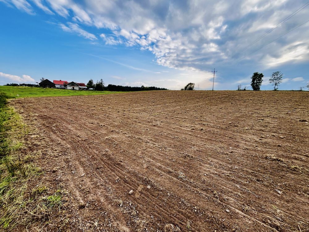 Działka budowlana Wipsowo. Zdjęcie 8