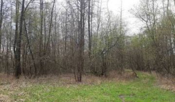 Działka rekreacyjna Trzebca