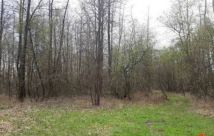 Działka rekreacyjna Trzebca. Zdjęcie 1