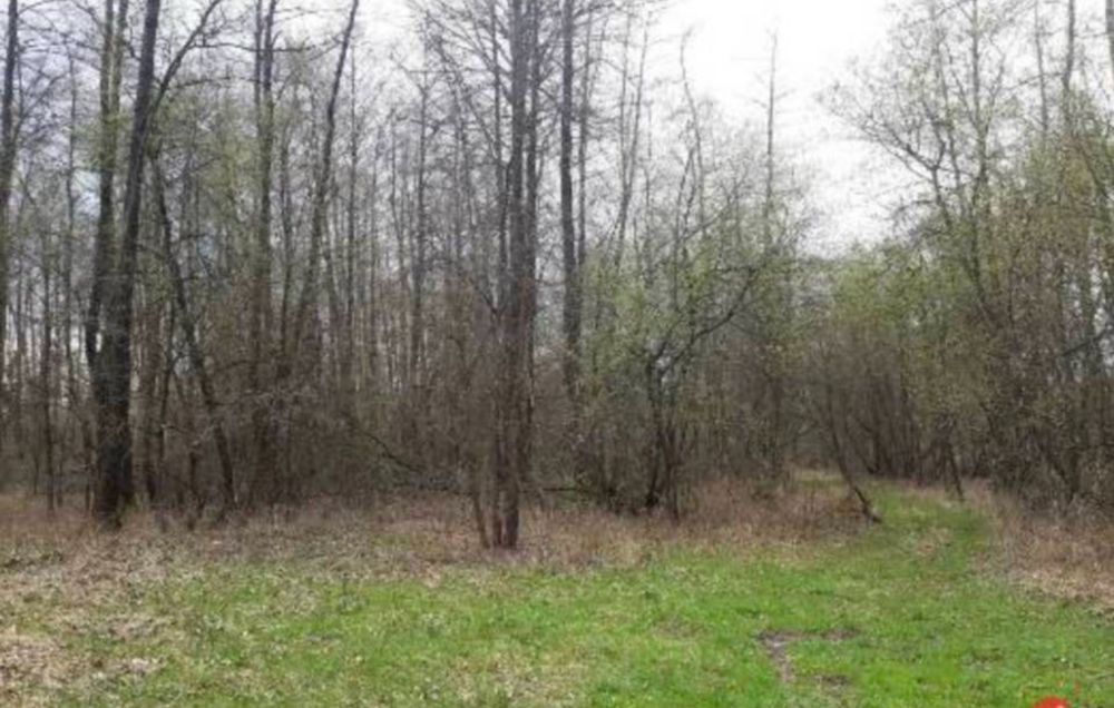 Działka rekreacyjna Trzebca. Zdjęcie 2