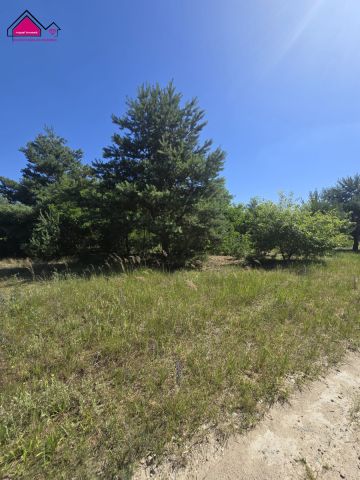 Działka budowlana Korwin. Zdjęcie 4