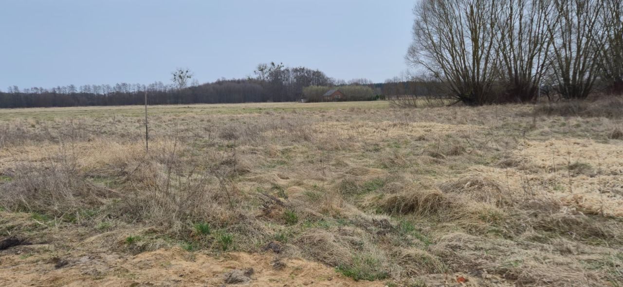 Działka budowlana Dziersławice. Zdjęcie 7