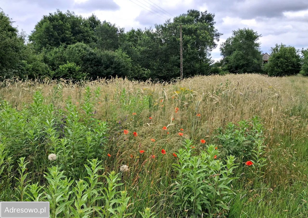 Działka budowlana Bysław. Zdjęcie 2