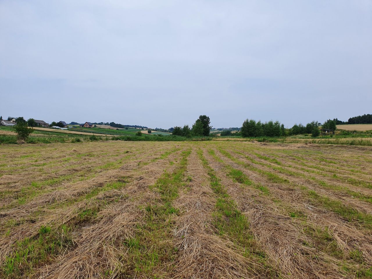 Działka rolna Głęboka. Zdjęcie 7