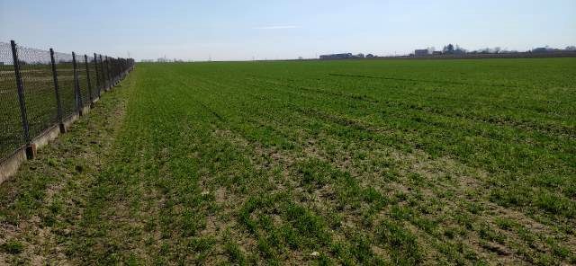 Działka rolno-budowlana Płock Trzepowo, ul. Bielska. Zdjęcie 5