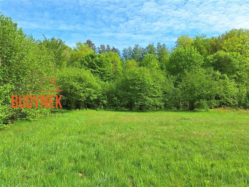 Działka rolna Paproty. Zdjęcie 7