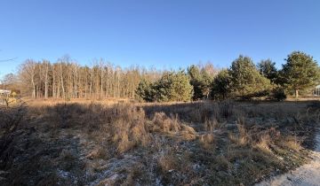 Działka budowlana Zbuczyn, ul. Poziomkowa