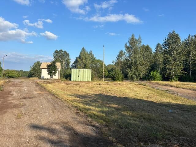 Lokal Przytuły-Las. Zdjęcie 4